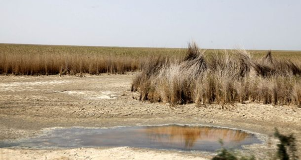 دست مهمترین تالاب تهران هنوز به آب نرسیده است