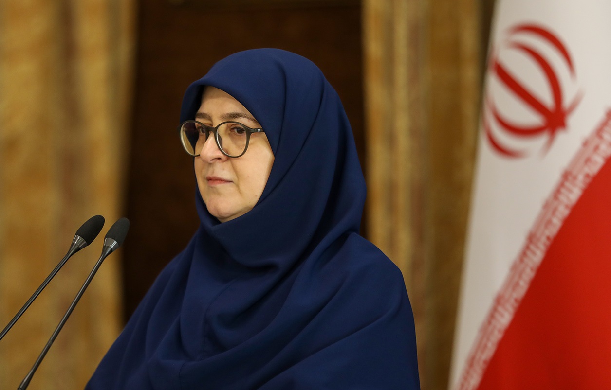 مهاجرانی: ما هیچ‌وقت از تحریم‌ها استقبال نکردیم!