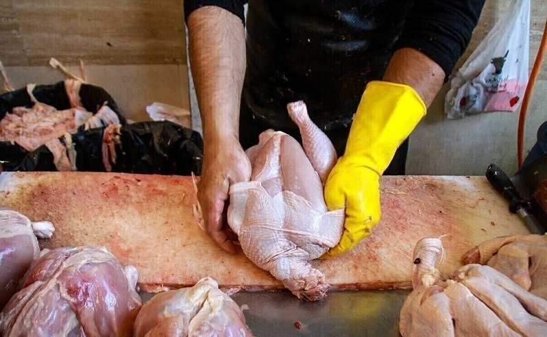 قیمت جدید مرغ اعلام شد