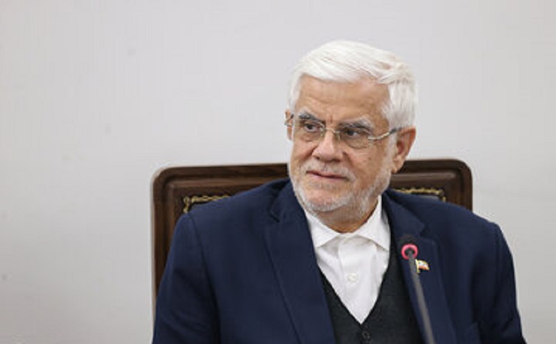 عارف: بازار پول و سرمایه آرام است؛ دولت در صورت نیاز وارد عمل می‌شود