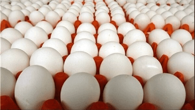 بازار تخم‌مرغ جان تازه گرفت