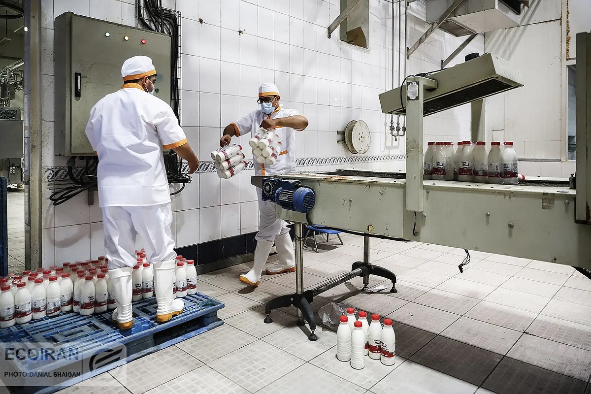 سخنگوی سابق انجمن شیر: ۶۰ کارخانه در کشور فقط شیر خشک تولید می‌کنند