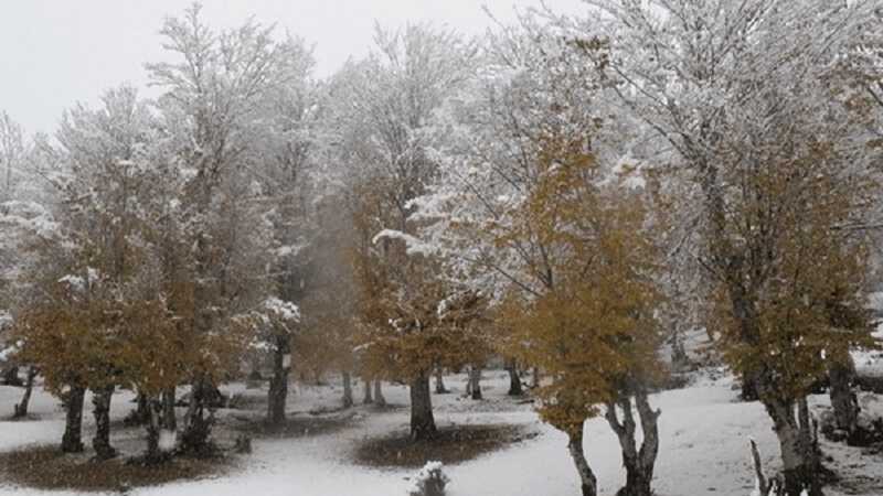 ۶۰ کیلومتر آن‌طرف‌تر برف سنگین، این‌طرف مرز خشکی مطلق؛ چرا ارومیه بی‌نصیب ماند؟