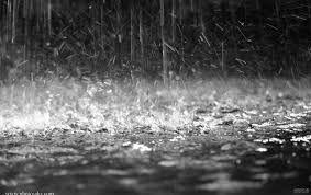 پیش‌بینی بارش باران و برف شهروندان این استان را غافلگیر کرد