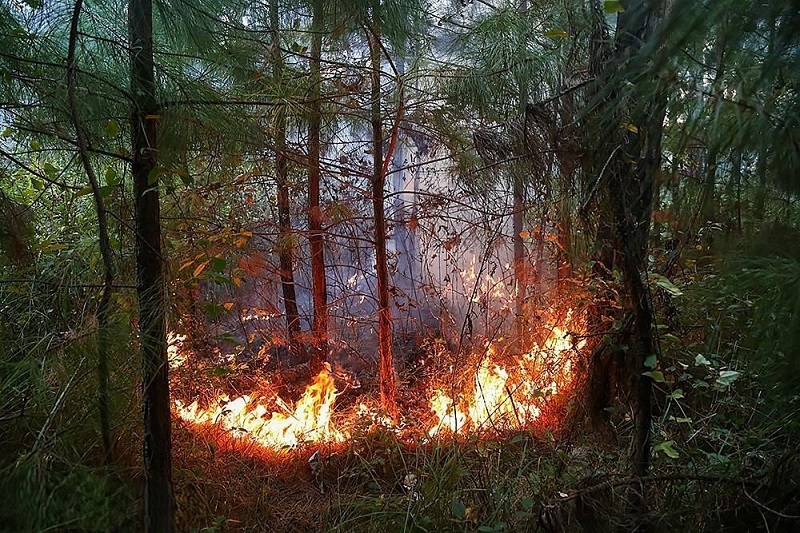 بحران حریق؛ هشدار جدی درباره موج تازه آتش‌سوزی‌ها