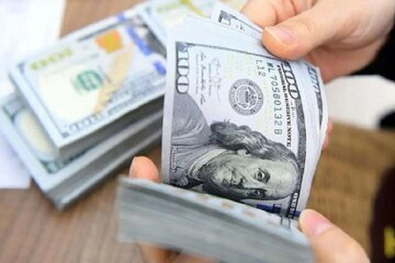 آیا دلاریزه شدن اقتصاد، نجات‌بخش یا کابوس است؟