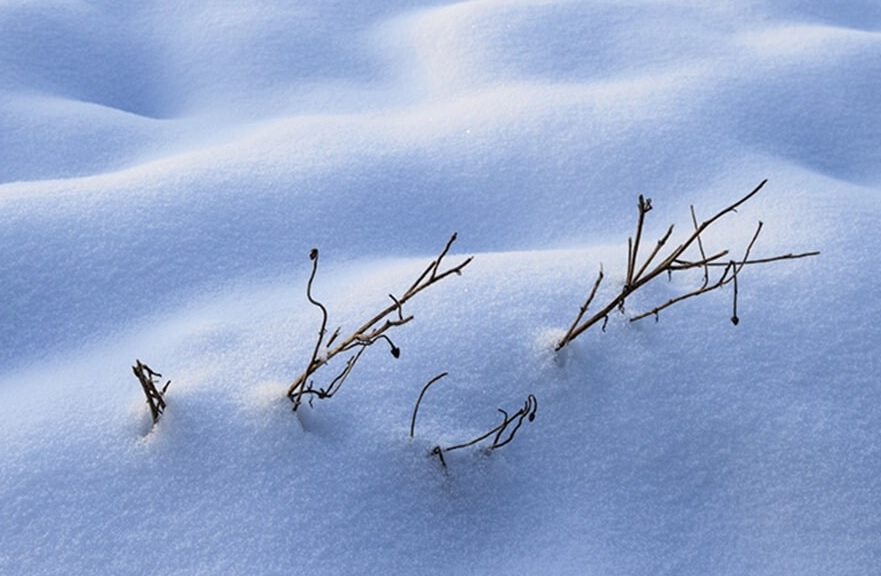 شادی کودکانه پیرمرد یزدی در برف وایرال شد