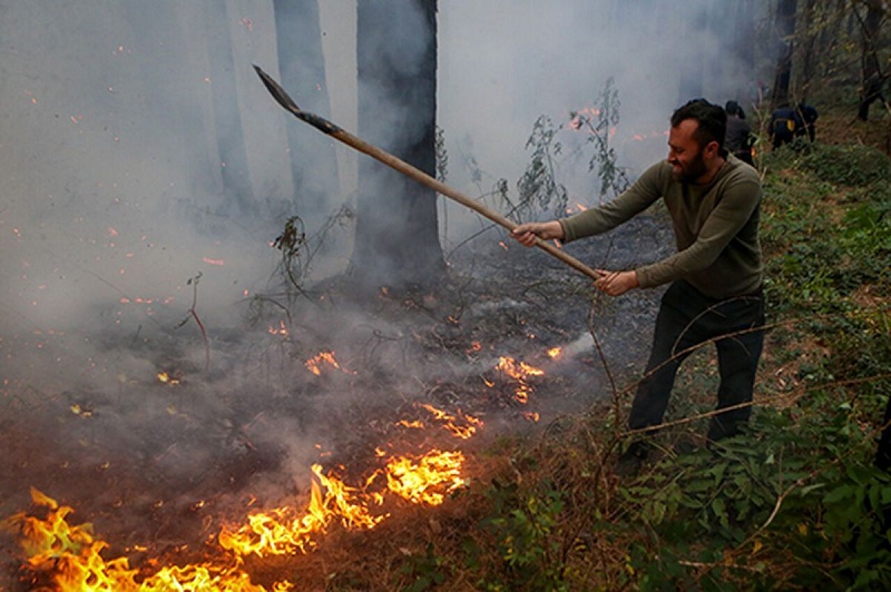 دستگیری آتش افروز جنگل های هیرکانی/ رئیس حوزه قضایی بندپی شرقی بابل: حفاظت از جنگل‌های هیرکانی اولویت جدی ماست