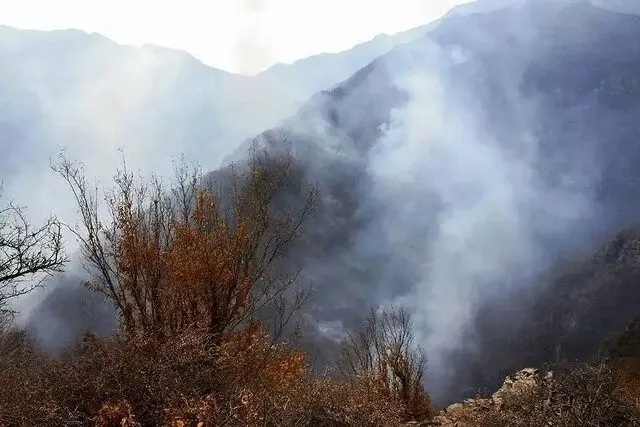 آتش ۶۰ هکتار از جنگل های گیلان  را طعمه حریق کرد